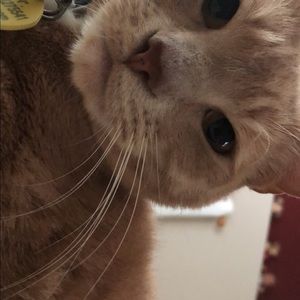 Meet your Posher, Chloe